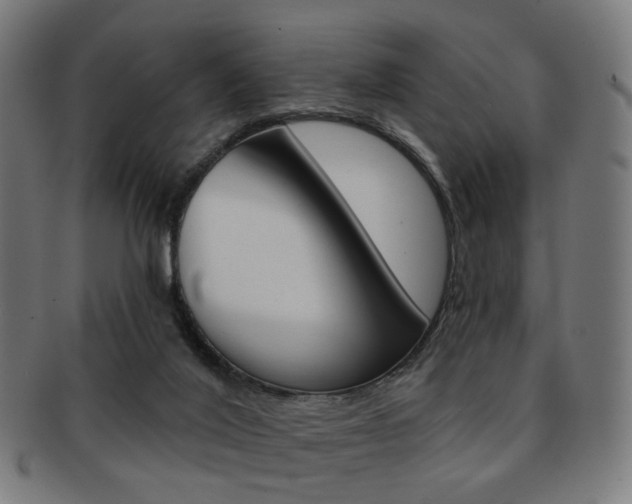 X0000092030020200709061400