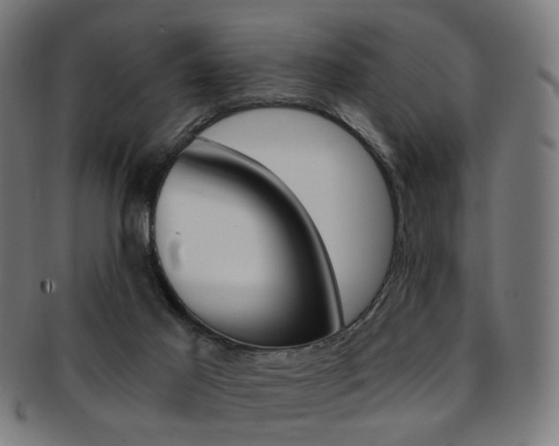 X0000092030021200709061400