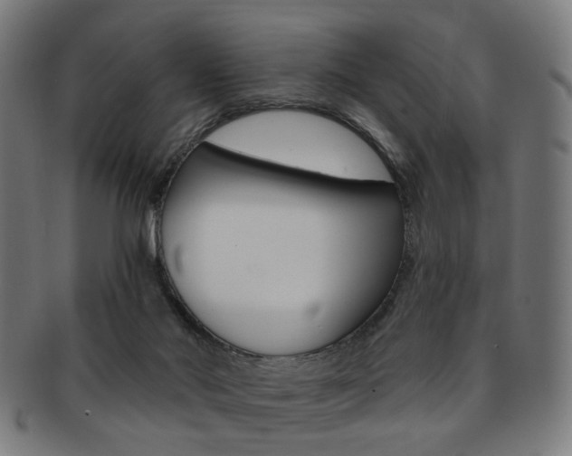X0000092030022200709061400