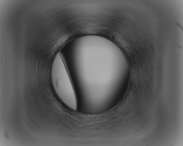X0000092030023200709061400