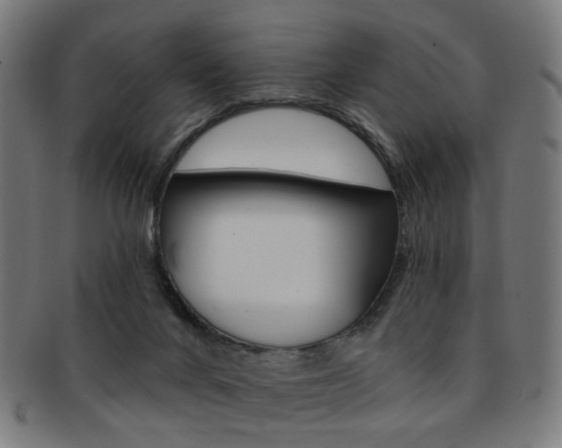 X0000092030024200709061400