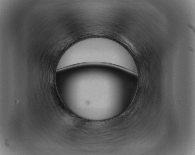 X0000092030025200709061359