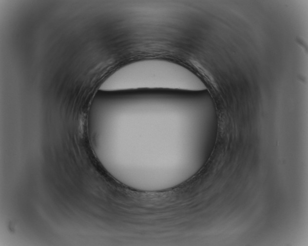 X0000092030026200709061359