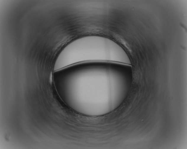 X0000092030027200709061359