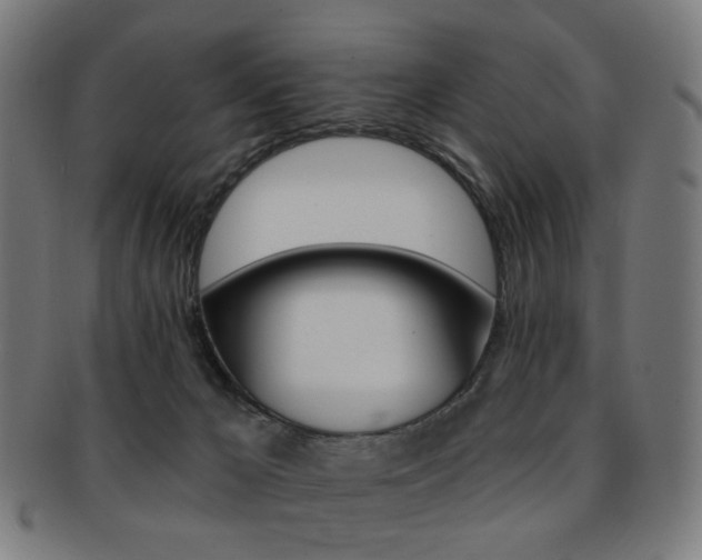 X0000092030029200709061359