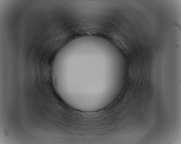 X0000092030030200709061359