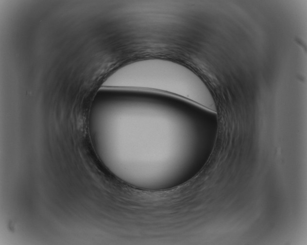 X0000092030031200709061359