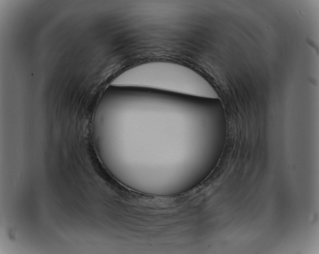 X0000092030032200709061359