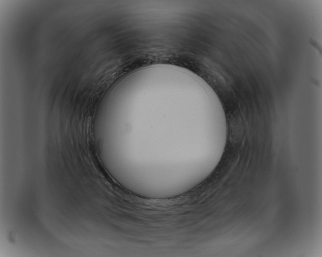 X0000092030034200709061359