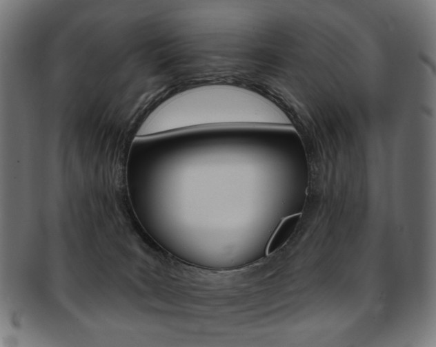 X0000092030035200709061359