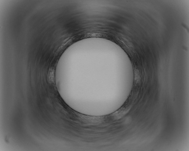 X0000092030036200709061359