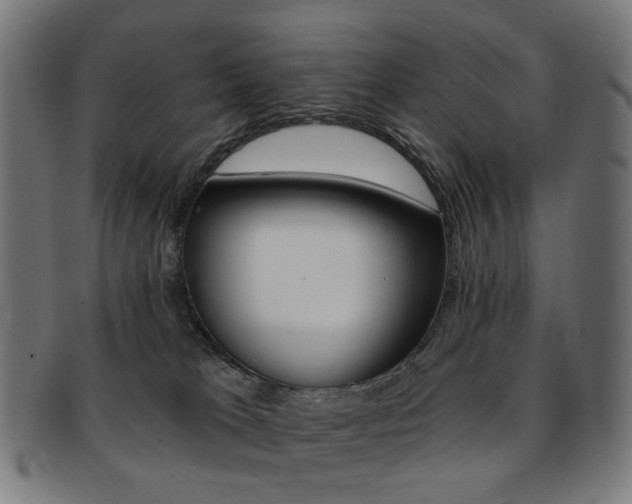 X0000092030037200709061359