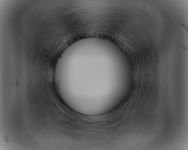X0000092030038200709061359