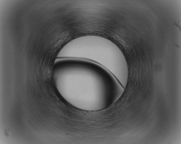 X0000092030039200709061359