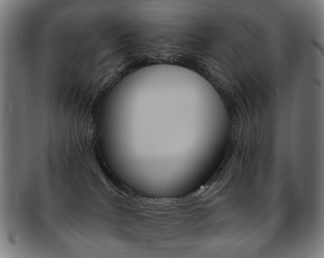 X0000092030040200709061359