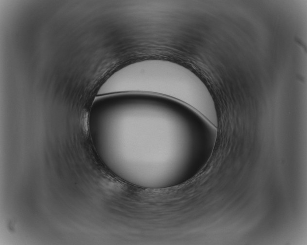 X0000092030041200709061359