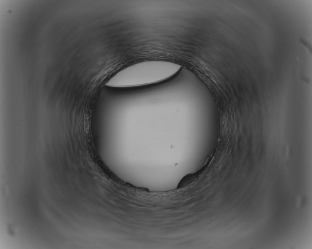 X0000092030043200709061359