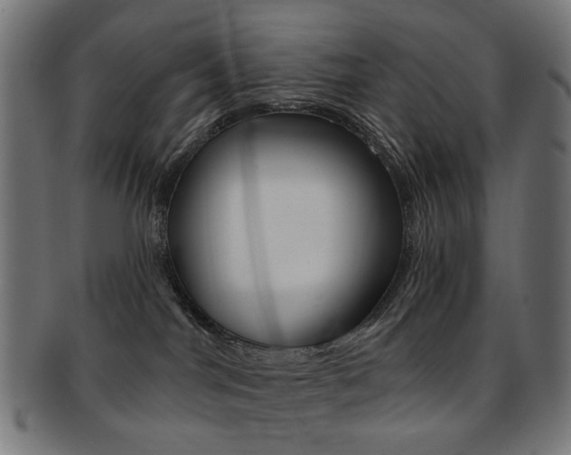 X0000092030044200709061359