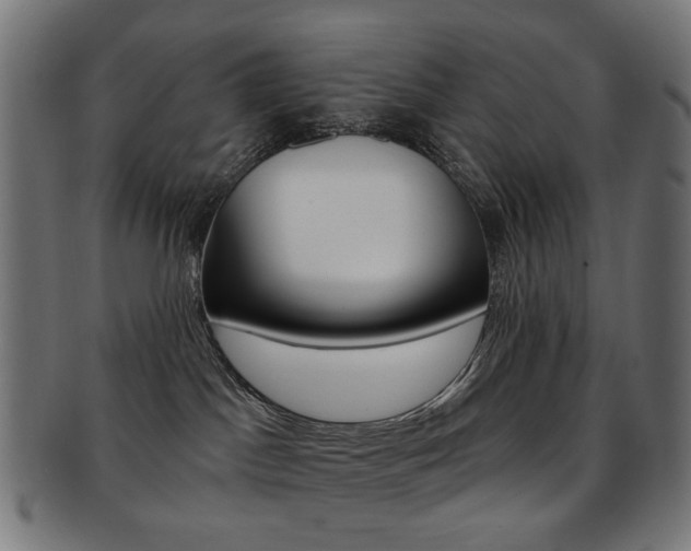 X0000092030045200709061359