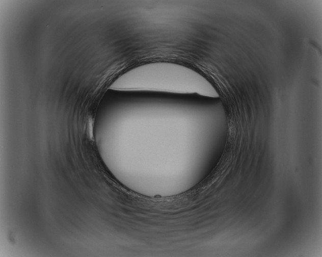 X0000092030046200709061359
