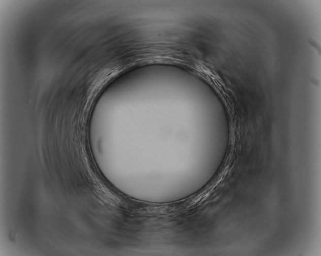 X0000092030049200709061359