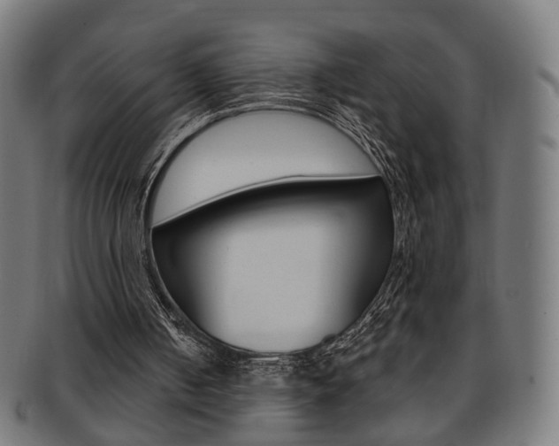 X0000092030050200709061359