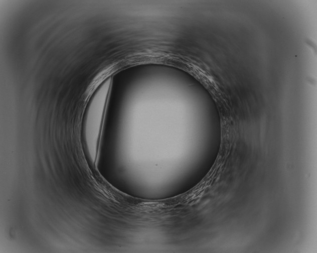 X0000092030051200709061359