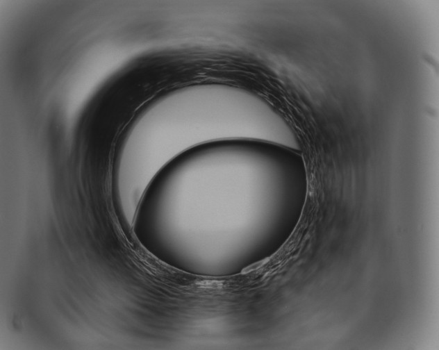 X0000092030052200709061359