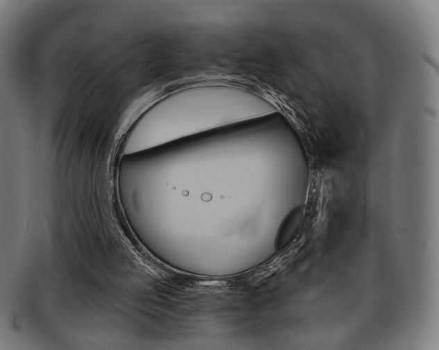 X0000092030053200709061359
