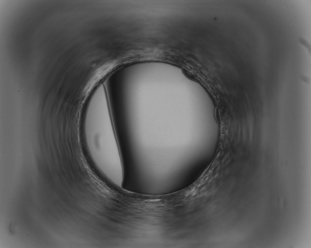 X0000092030054200709061359