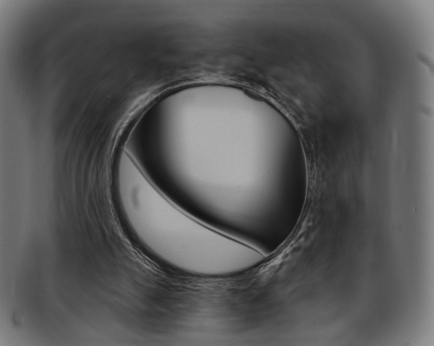 X0000092030055200709061359