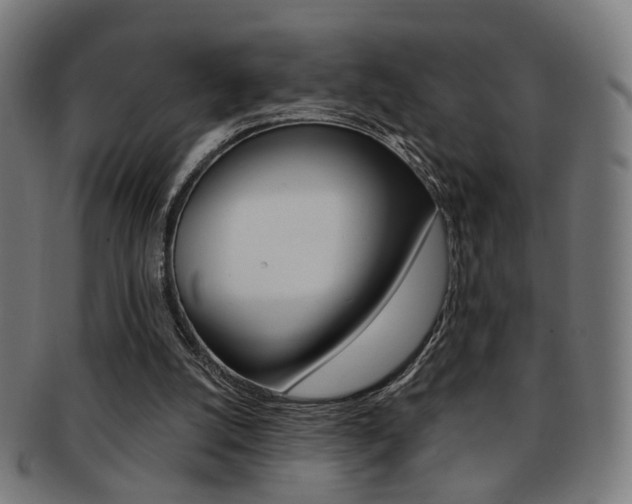 X0000092030056200709061359