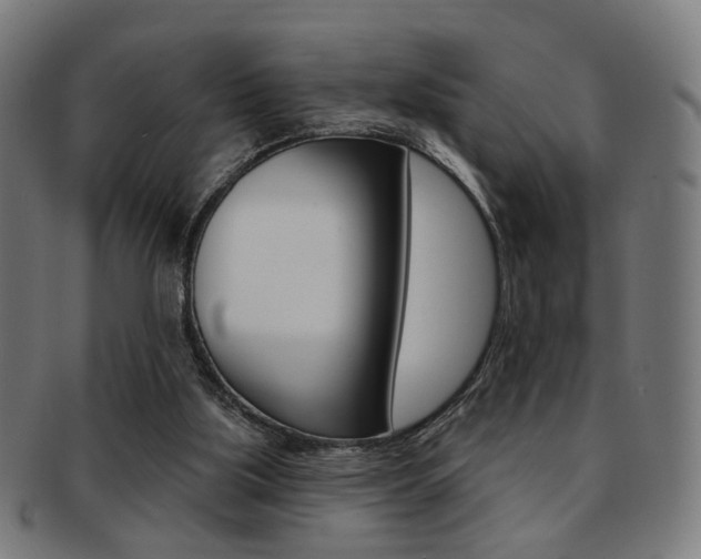 X0000092030059200709061359