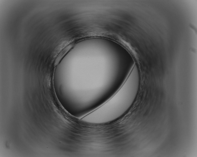 X0000092030060200709061359