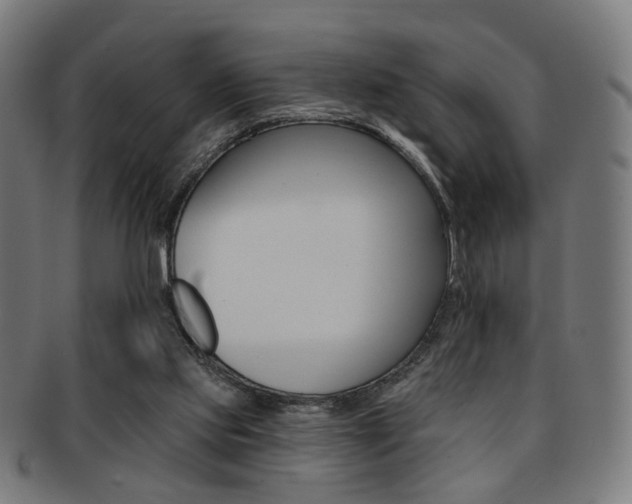 X0000092030061200709061359