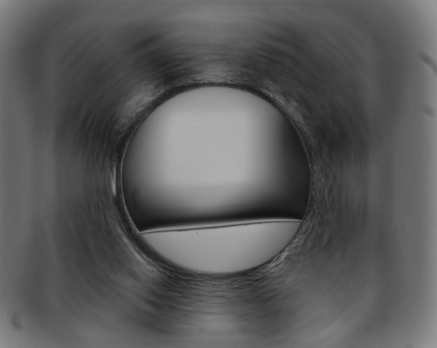 X0000092030062200709061359