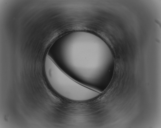 X0000092030063200709061359