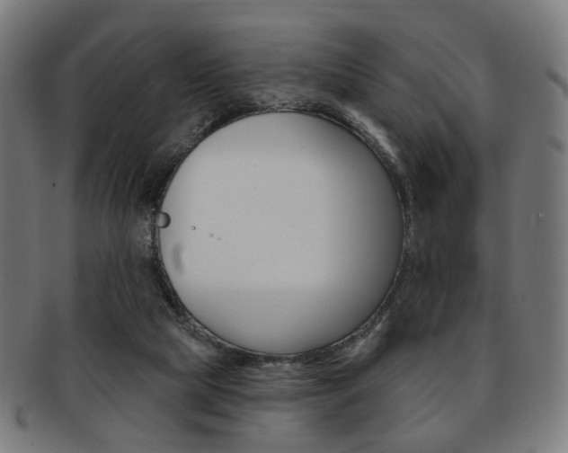 X0000092030065200709061359