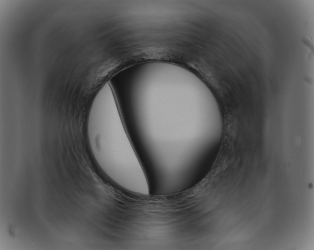 X0000092030066200709061359
