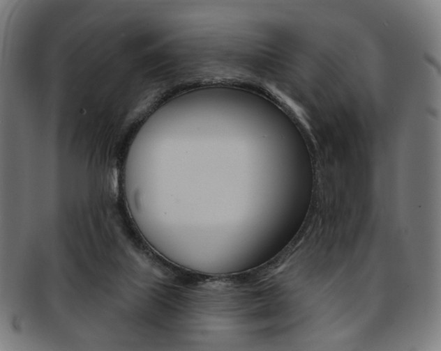 X0000092030067200709061359