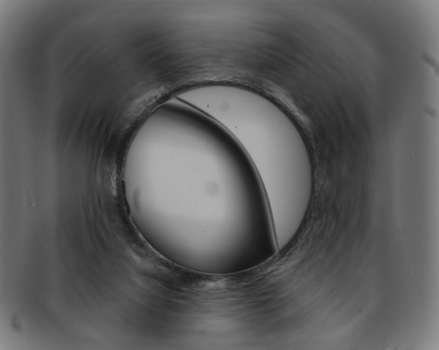 X0000092030068200709061359
