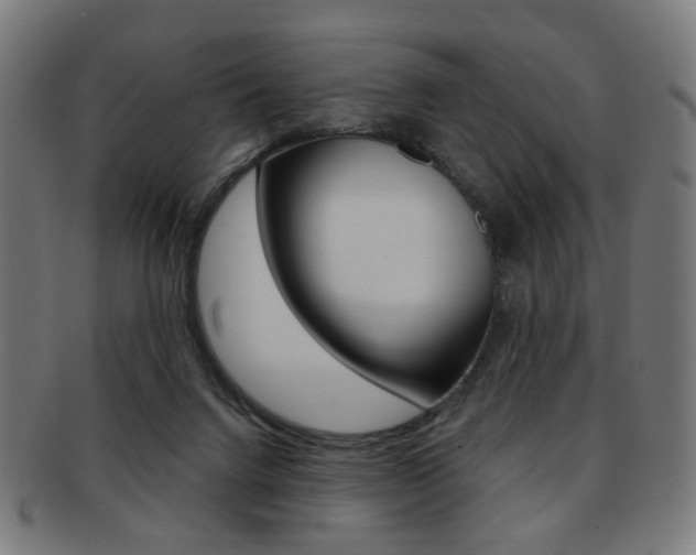 X0000092030072200709061359