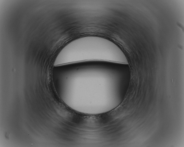 X0000092030074200709061359