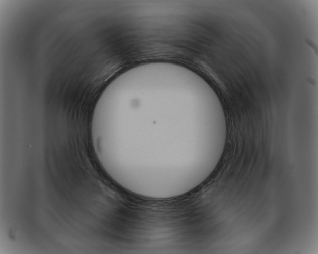 X0000092030076200709061359