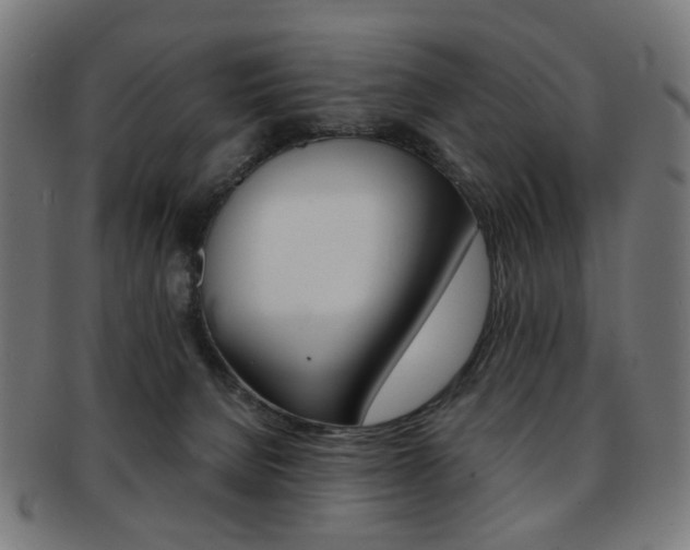 X0000092030080200709061359