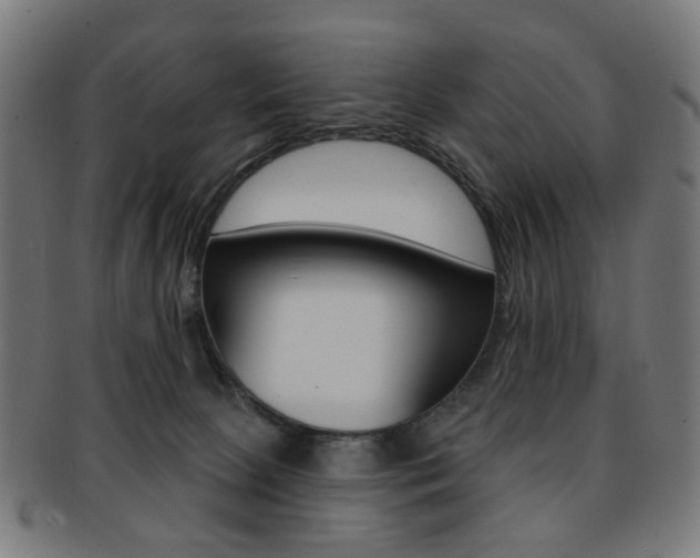 X0000092030081200709061359