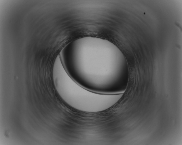 X0000092030084200709061359