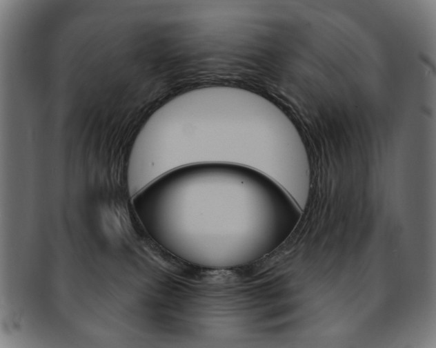 X0000092030087200709061359