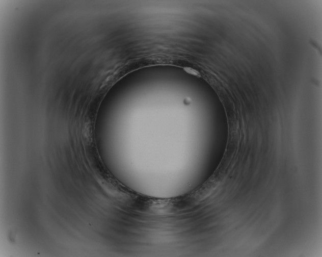 X0000092030088200709061359