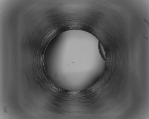 X0000092030093200709061359